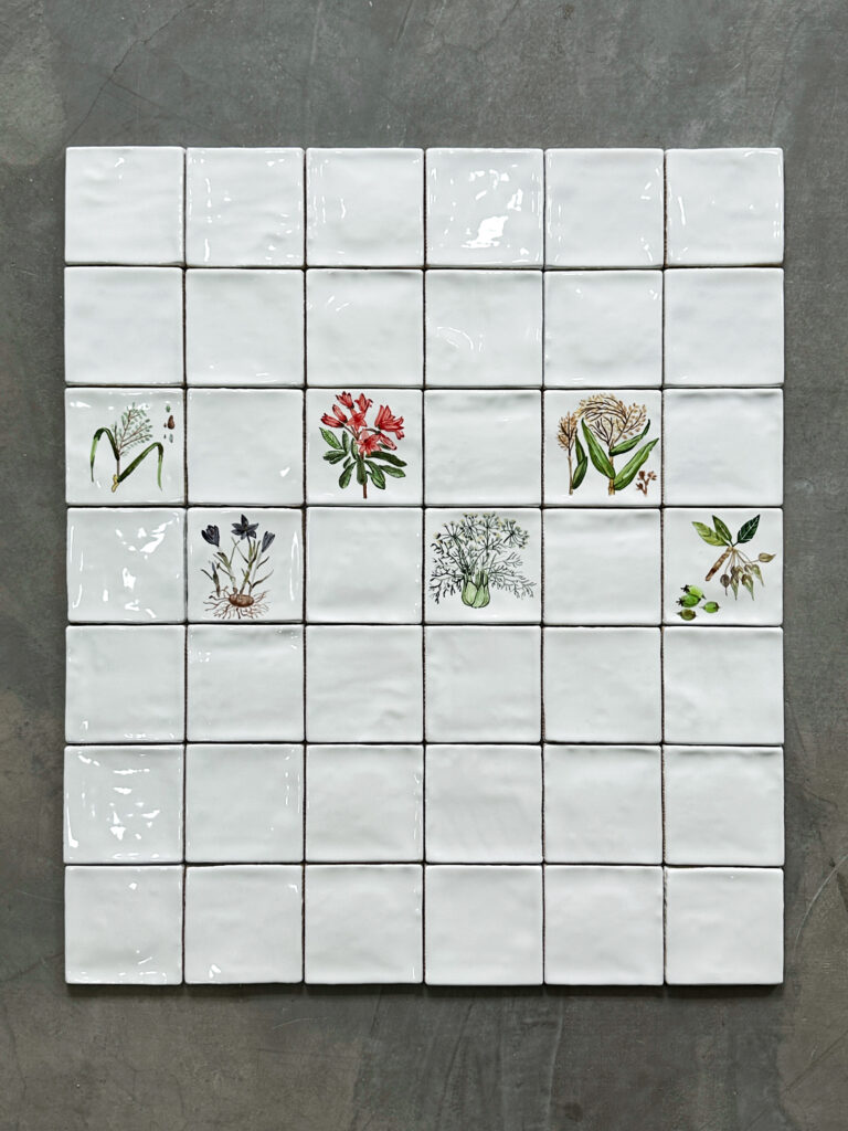 summer fruit festival (复制)